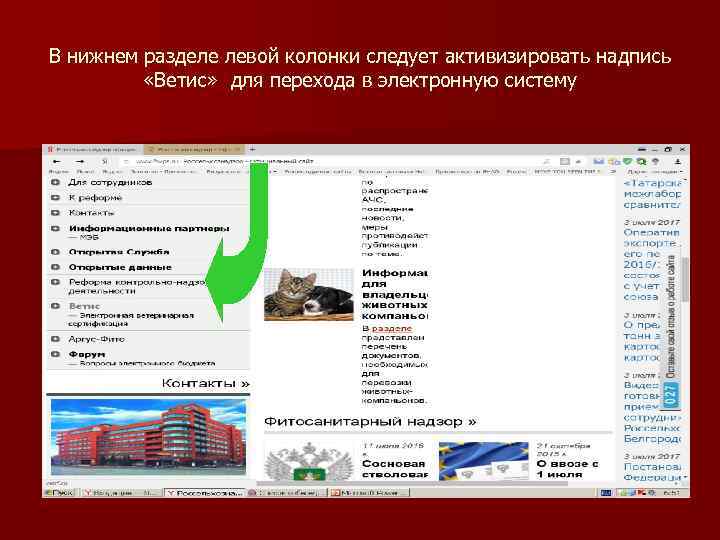 В нижнем разделе левой колонки следует активизировать надпись «Ветис» для перехода в электронную систему