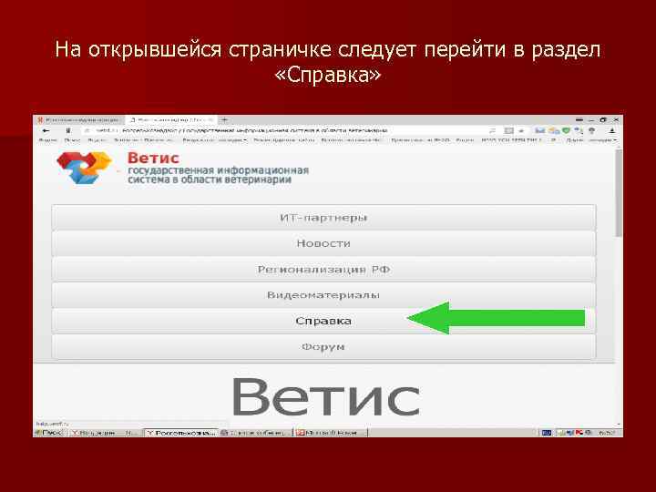 На открывшейся страничке следует перейти в раздел «Справка» 