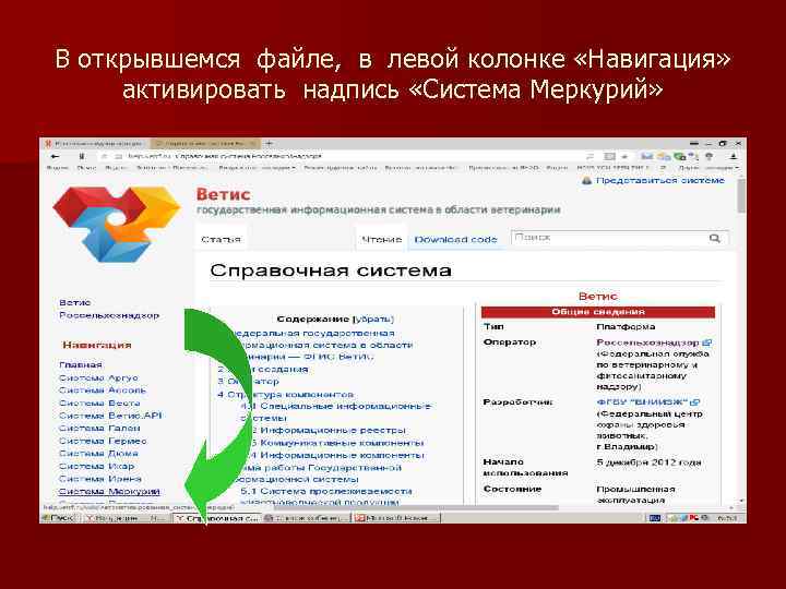 В открывшемся файле, в левой колонке «Навигация» активировать надпись «Система Меркурий» 