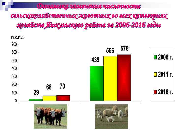 Динамика изменения численности сельскохозяйственных животных во всех категориях хозяйств Яшкульского района за 2006 -2016
