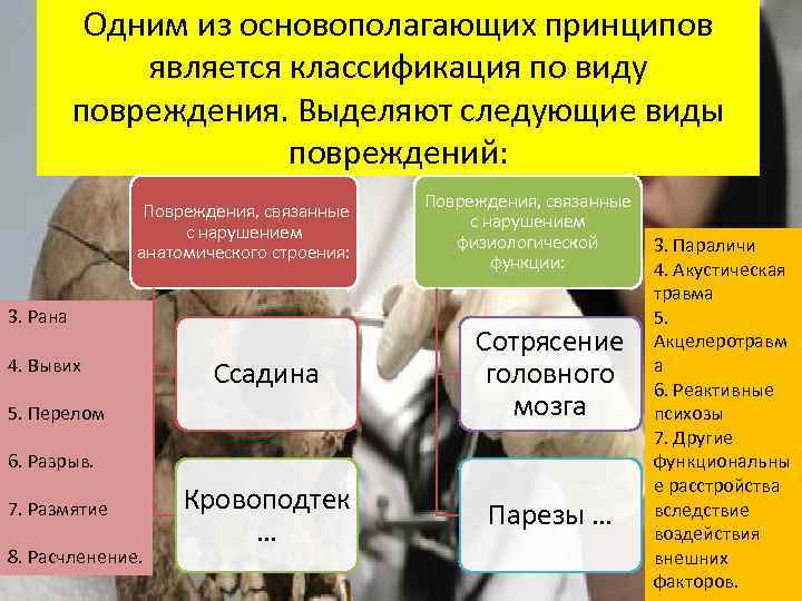 Одним из основополагающих принципов является классификация по виду повреждения. Выделяют следующие виды повреждений: Повреждения,