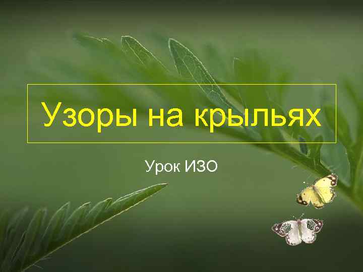Узоры на крыльях Урок ИЗО 