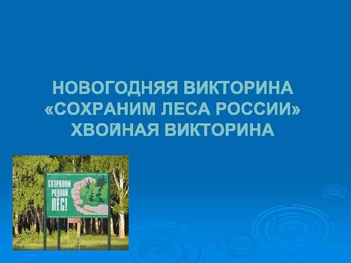 НОВОГОДНЯЯ ВИКТОРИНА «СОХРАНИМ ЛЕСА РОССИИ» ХВОЙНАЯ ВИКТОРИНА 