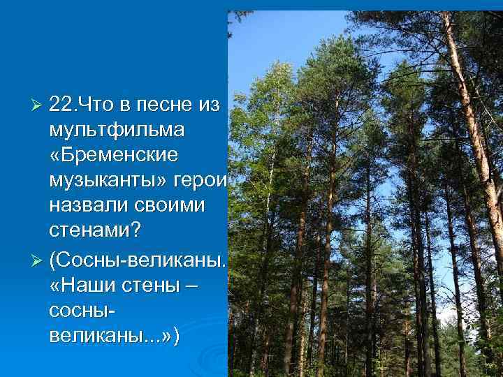 Ø 22. Что в песне из мультфильма «Бременские музыканты» герои назвали своими стенами? Ø