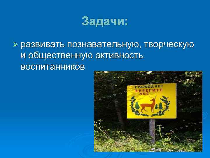 Задачи: Ø развивать познавательную, творческую и общественную активность воспитанников 