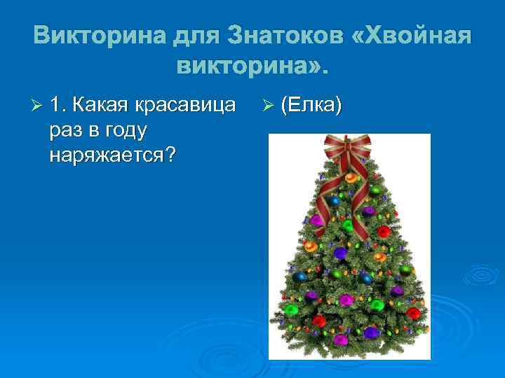 Викторина для Знатоков «Хвойная викторина» . Ø 1. Какая красавица раз в году наряжается?