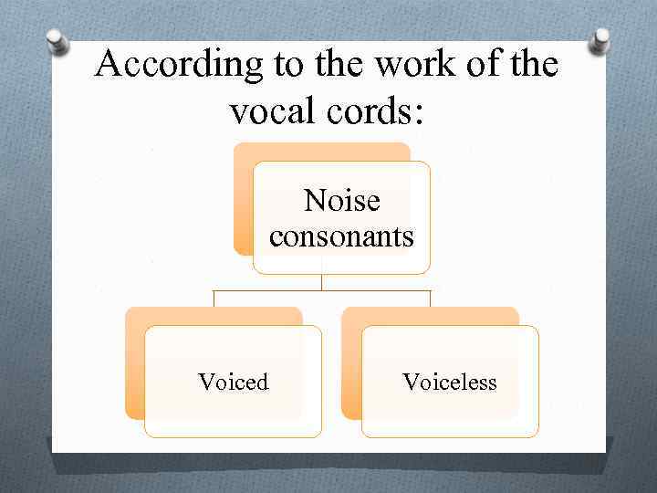 According to the work of the vocal cords: Noise consonants Voiced Voiceless 