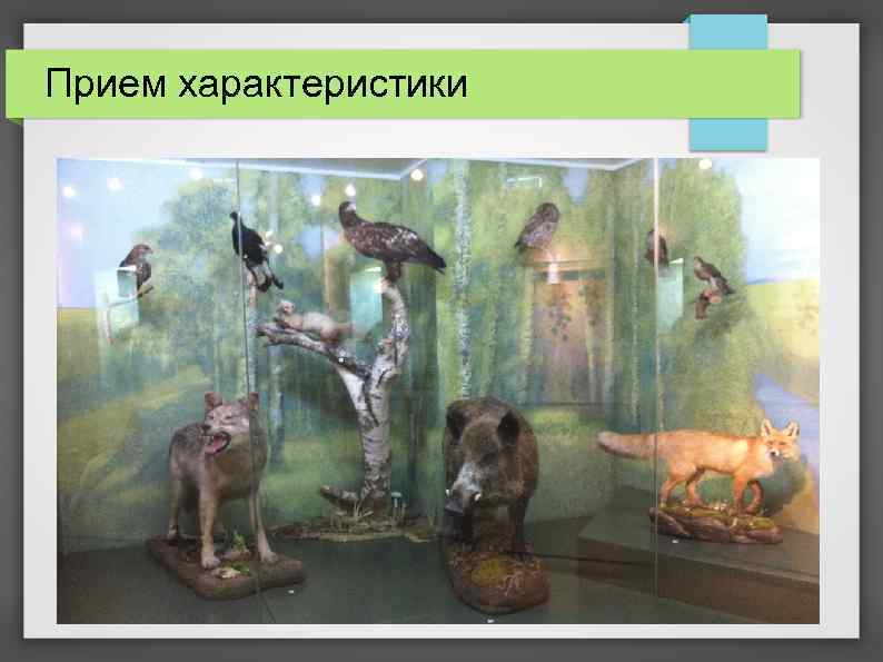 Прием характеристики 