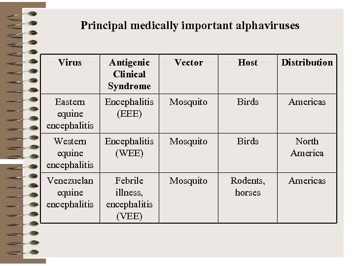 Principal medically important alphaviruses Virus Antigenic Clinical Syndrome Vector Host Distribution Eastern equine encephalitis