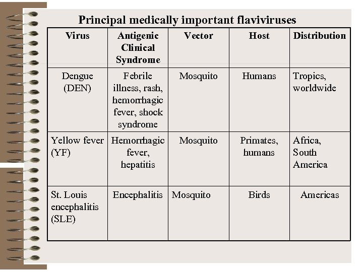 Principal medically important flaviviruses Virus Antigenic Clinical Syndrome Vector Host Dengue (DEN) Febrile illness,