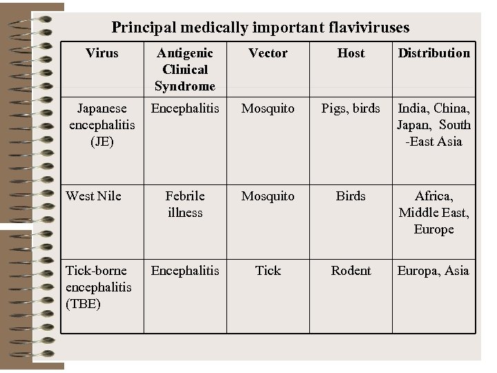 Principal medically important flaviviruses Virus Antigenic Clinical Syndrome Vector Host Distribution Japanese encephalitis (JE)