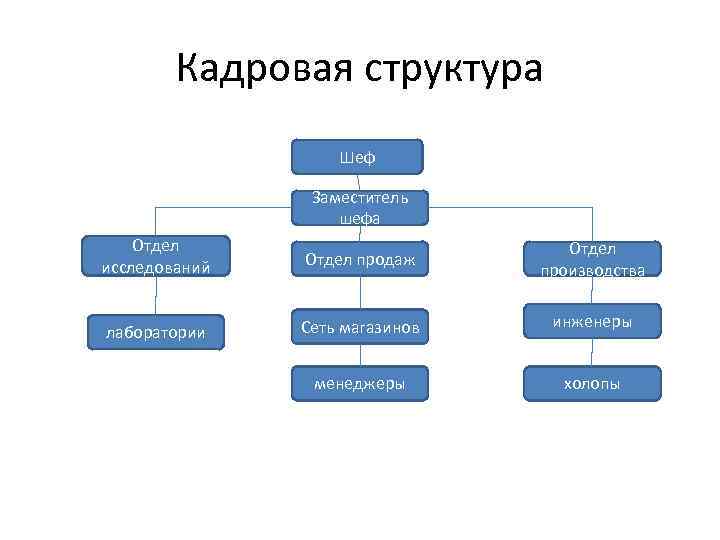 Кадровая структура Шеф Заместитель шефа Отдел исследований Отдел продаж Отдел производства лаборатории Сеть магазинов