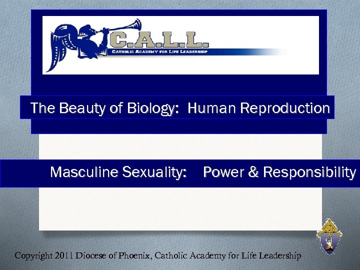 The Beauty of Biology: Human Reproduction Masculine Sexuality: Power & Responsibility Copyright 2011 Diocese