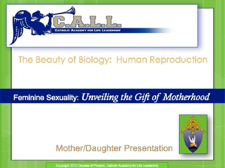 Feminine Sexuality: Unveiling the Gift of Motherhood Diocese of Phoenix Mother-Daughter Presentation- Year 2