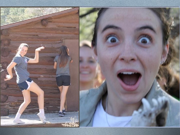 CALL Developers and Coordinators Cindy Leonard Lee. Anne Abel 