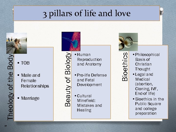 MP • Male and Female Relationships • Marriage • Human Reproduction and Anatomy •