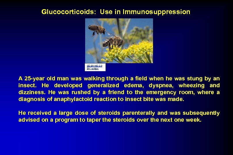 Glucocorticoids: Use in Immunosuppression CC-BY-ND 2. 0 BY: wolfpix A 25 -year old man