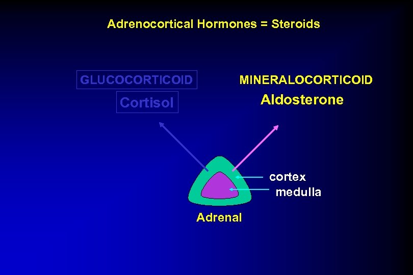 Adrenocortical Hormones = Steroids GLUCOCORTICOID MINERALOCORTICOID Aldosterone Cortisol cortex medulla Adrenal 