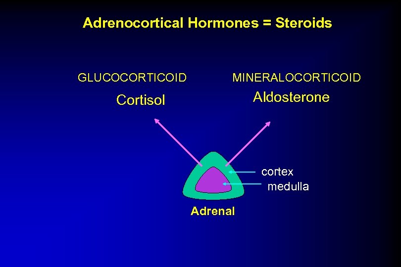 Adrenocortical Hormones = Steroids GLUCOCORTICOID MINERALOCORTICOID Aldosterone Cortisol cortex medulla Adrenal 