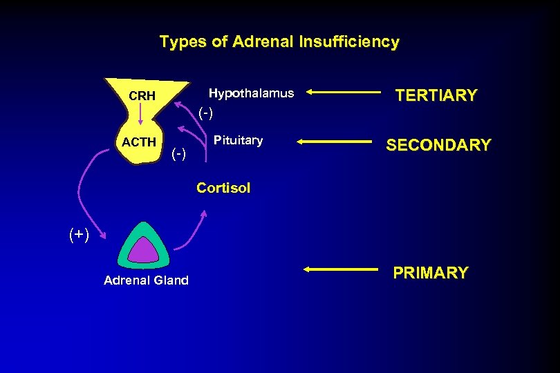 Types of Adrenal Insufficiency Hypothalamus CRH (-) ACTH (-) Pituitary TERTIARY SECONDARY Cortisol (+)