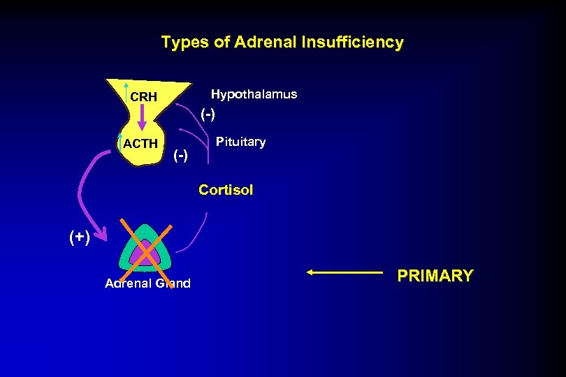 Types of Adrenal Insufficiency Hypothalamus CRH (-) ACTH (-) Pituitary Cortisol (+) Adrenal Gland