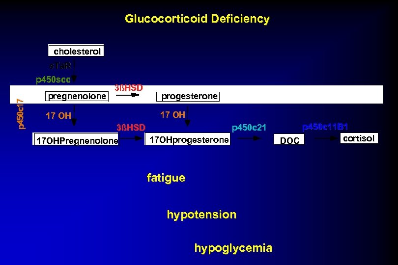 Glucocorticoid Deficiency cholesterol s. Ta. R p 450 c 17 p 450 scc pregnenolone
