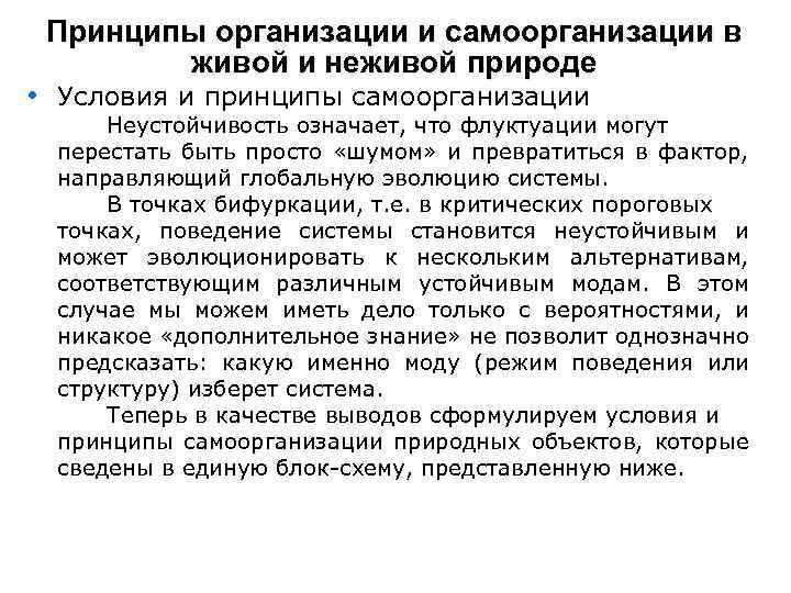 Принципы организации и самоорганизации в живой и неживой природе • Условия и принципы самоорганизации