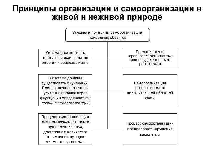 Принцип живого. Сходство процессов самоорганизации в живой и неживой природе. Принципы самоорганизации. Принципы самоорганизации систем. Принципы организации живого.