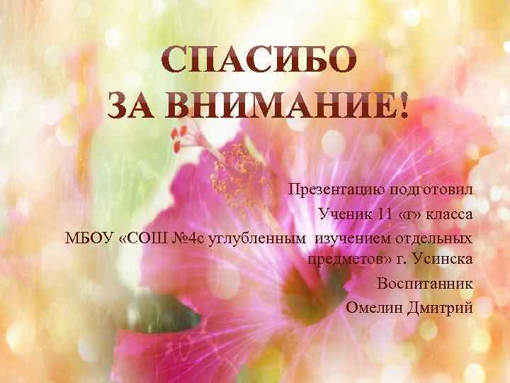  Презентацию подготовил Ученик 11 «г» класса МБОУ «СОШ № 4 с углубленным изучением