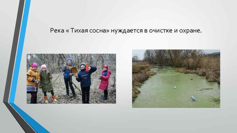 Река « Тихая сосна» нуждается в очистке и охране. 