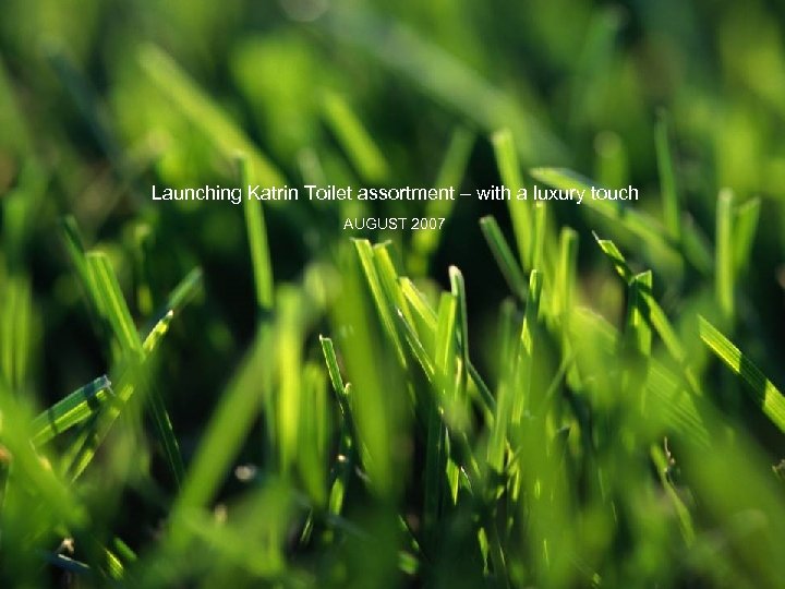 Launching Katrin Toilet assortment – with a luxury touch AUGUST 2007 