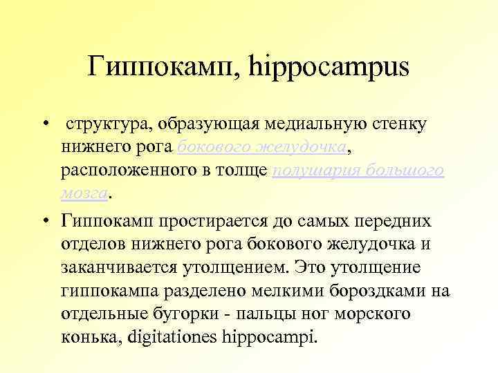 Какая структура образует медиальную стенку воронки