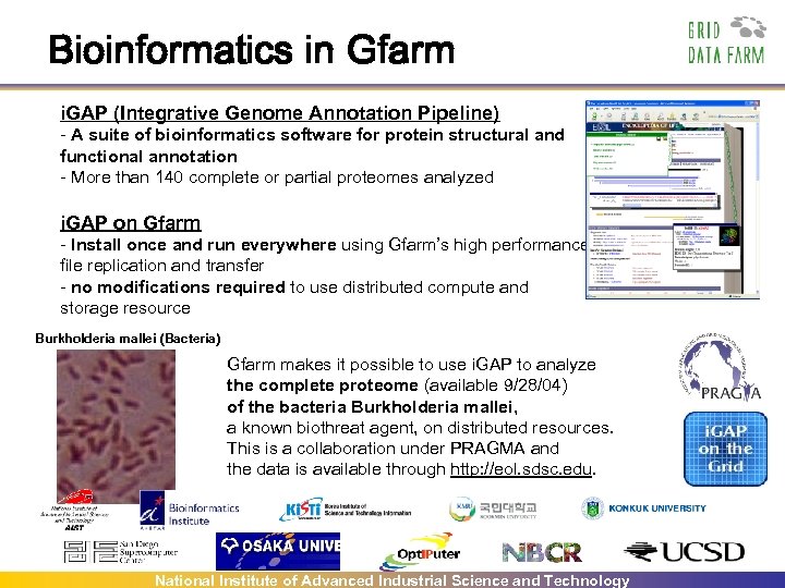 Bioinformatics in Gfarm i. GAP (Integrative Genome Annotation Pipeline) - A suite of bioinformatics