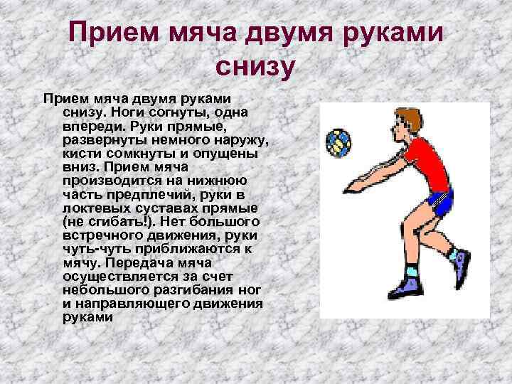 Прием мяча двумя руками снизу. Ноги согнуты, одна впереди. Руки прямые, развернуты немного наружу,