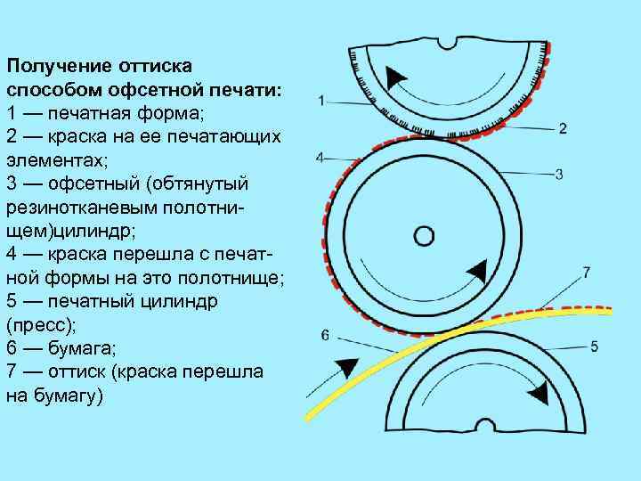 Какие элементы изображения бланка паспорта отпечатаны высоким способом печати