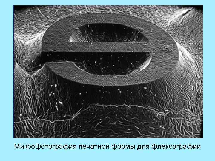 Микрофотография печатной формы для флексографии 