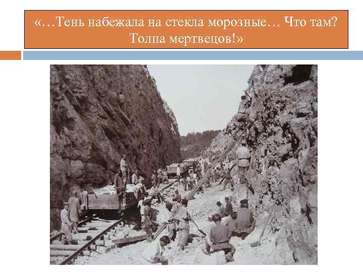  «…Тень набежала на стекла морозные… Что там? Толпа мертвецов!» 