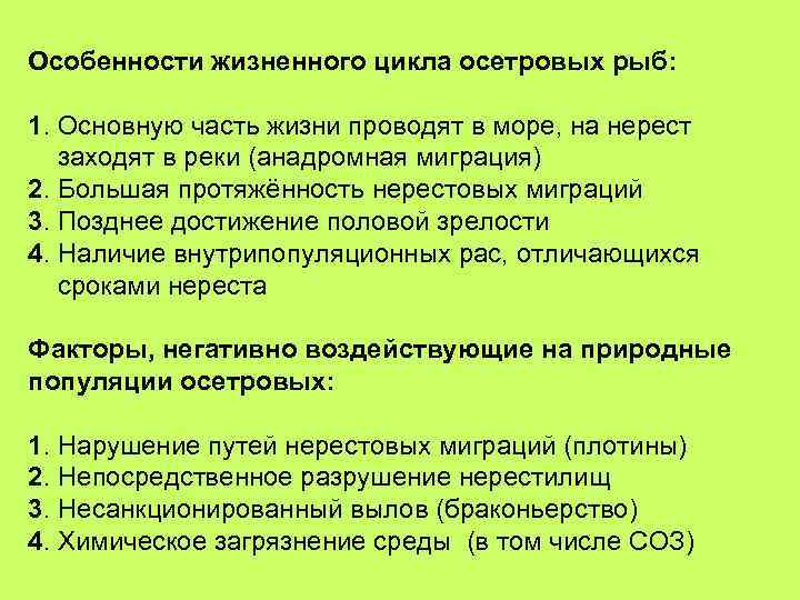 Особенности жизненного цикла осетровых рыб: 1. Основную часть жизни проводят в море, на нерест