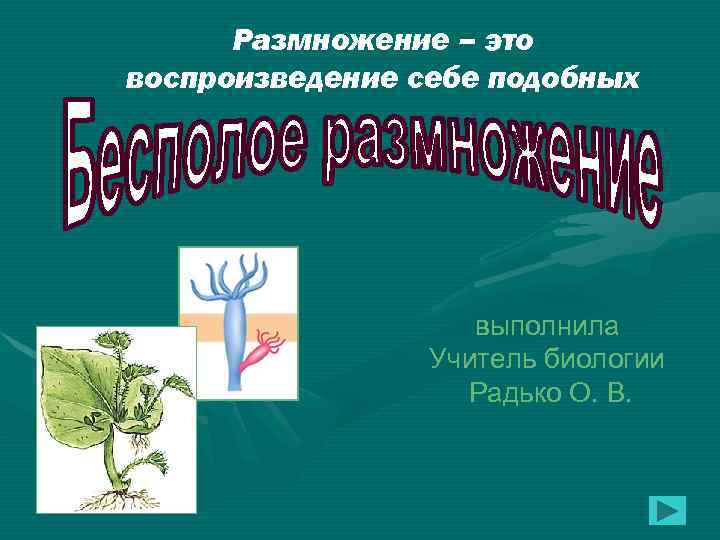Размножение – это воспроизведение себе подобных выполнила Учитель биологии Радько О. В. 