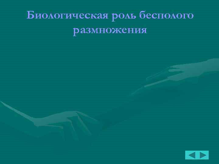 Биологическая роль бесполого размножения 