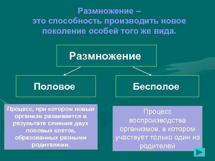 Размножение – это способность производить новое поколение особей того же вида. Размножение Половое Процесс,