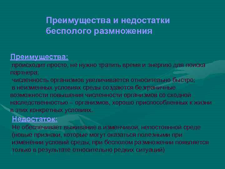 Преимущества и недостатки бесполого размножения Преимущества: происходит просто, не нужно тратить время и энергию