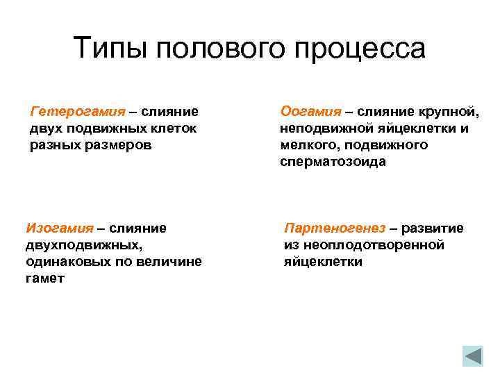 Типы полового процесса Гетерогамия – слияние двух подвижных клеток разных размеров Оогамия – слияние