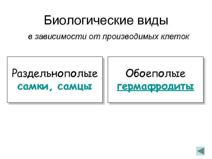 Биологические виды в зависимости от производимых клеток Раздельнополые самки, самцы Обоеполые гермафродиты 