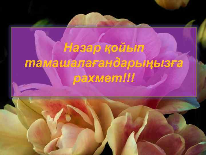 Назар қойып тамашалағандарыңызға рахмет!!! 