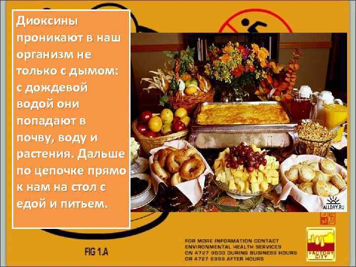 Диоксины проникают в наш организм не только с дымом: с дождевой водой они попадают