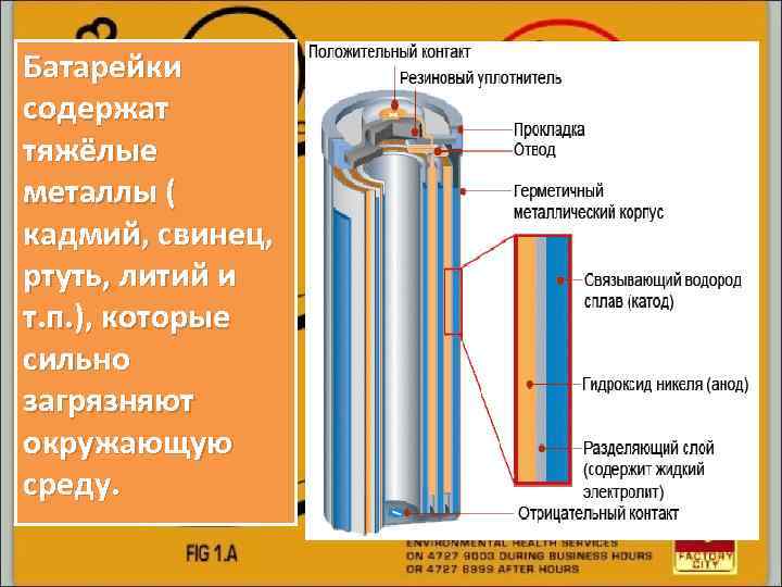 Батарейки содержат тяжёлые металлы ( кадмий, свинец, ртуть, литий и т. п. ), которые