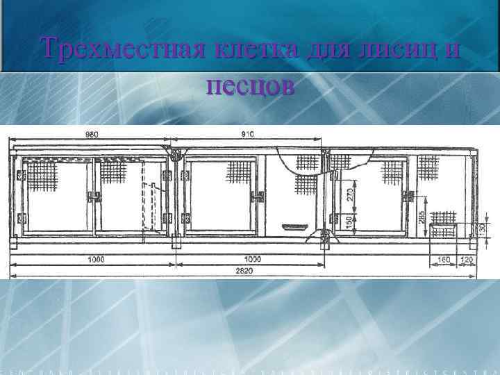 Трехместная клетка для лисиц и песцов 