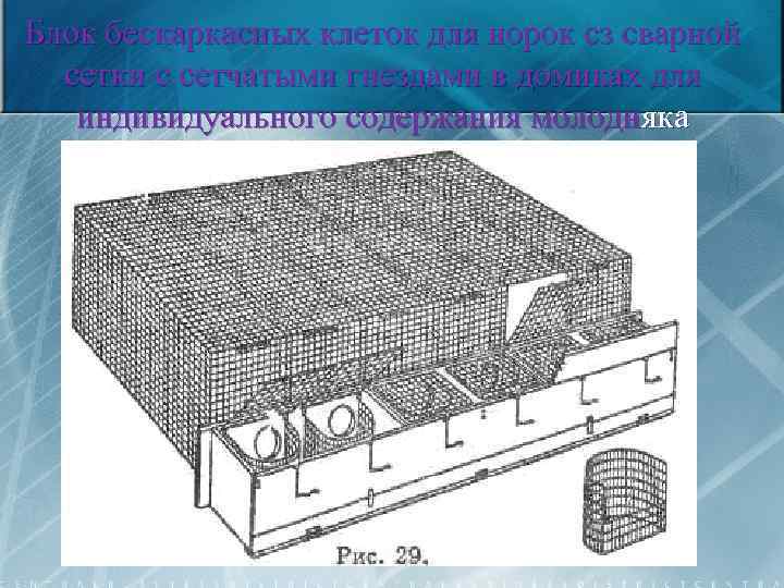 Блок бескаркасных клеток для норок сз сварной сетки с сетчатыми гнездами в домиках для