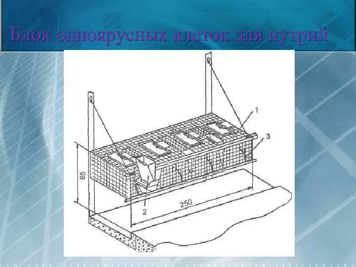 Блок одноярусных клеток для нутрий 